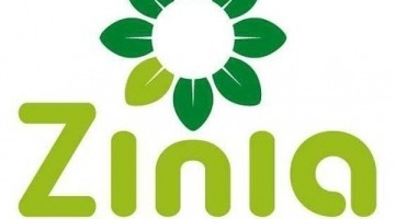 Zinia
